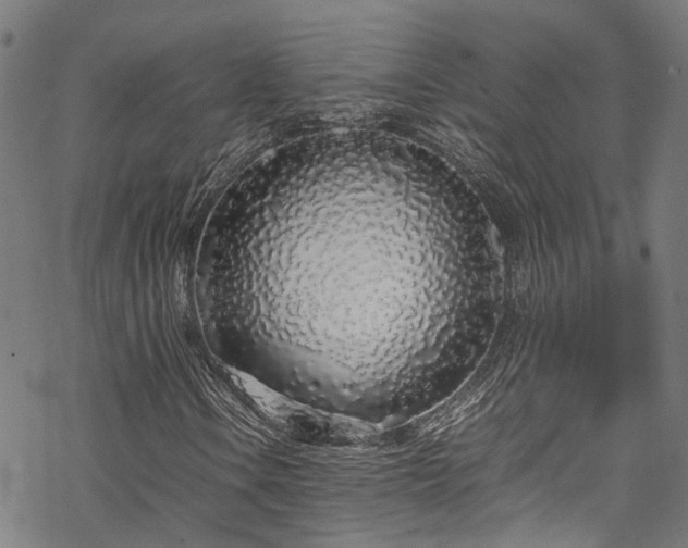 X0000070211106200605301355