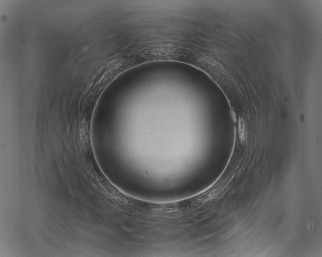 X0000070211107200605301355