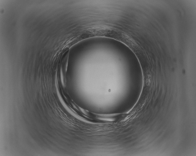 X0000070211108200605301355