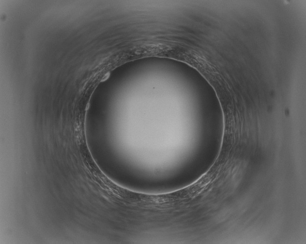 X0000070211109200605301355