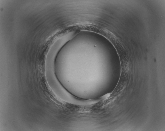 X0000070211110200605301355