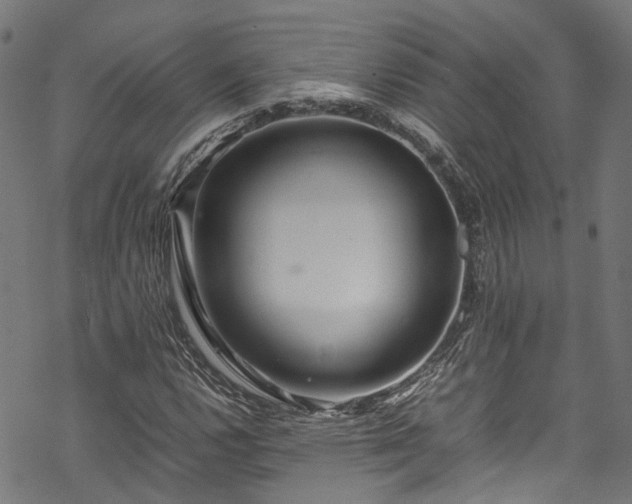 X0000070211112200605301355