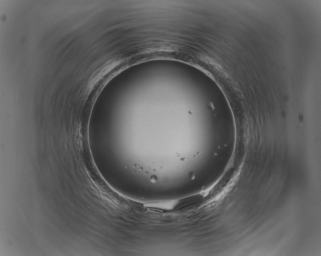 X0000070211113200605301355