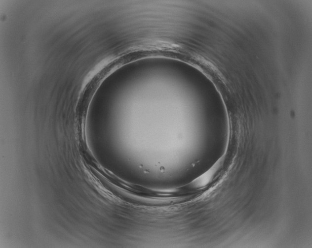 X0000070211114200605301355