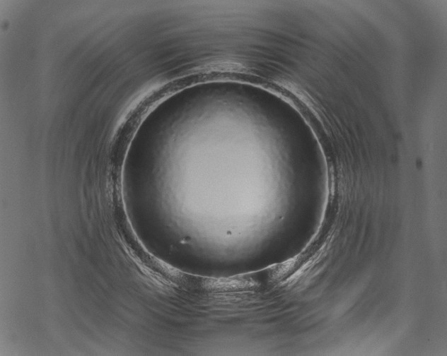 X0000070211115200605301355