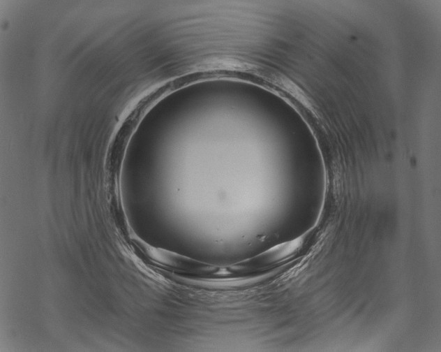 X0000070211116200605301355