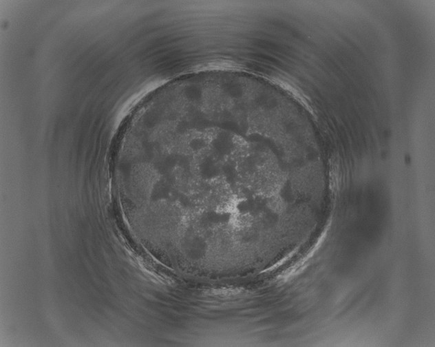 X0000070211117200605301355