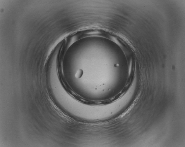 X0000070211118200605301355