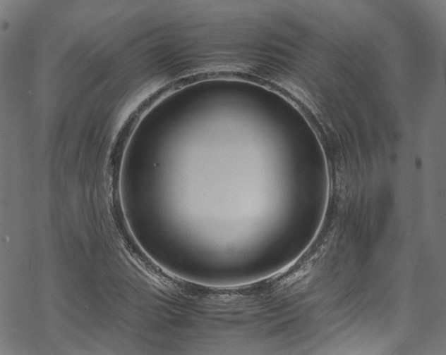 X0000070211119200605301355