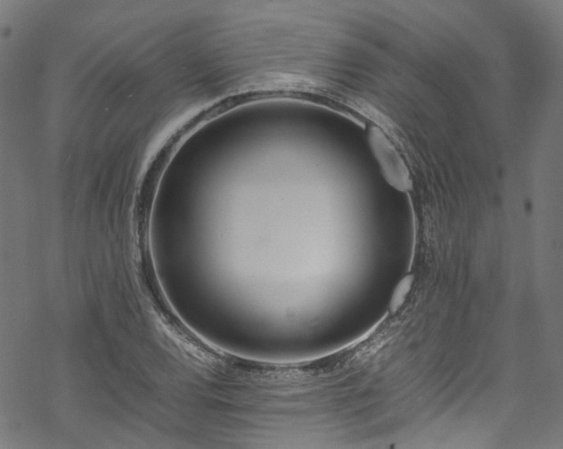 X0000070211120200605301355