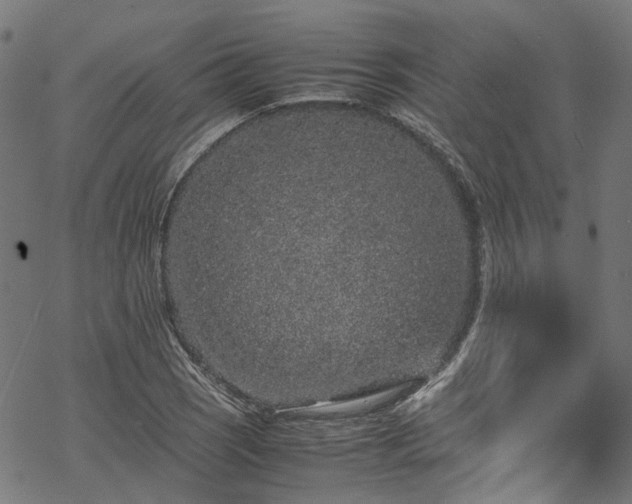 X0000070211121200605301355