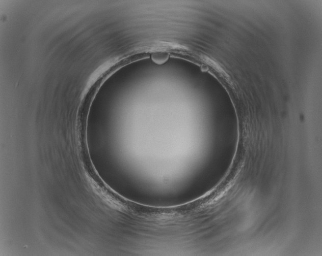 X0000070211122200605301355