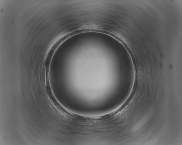 X0000070211123200605301355