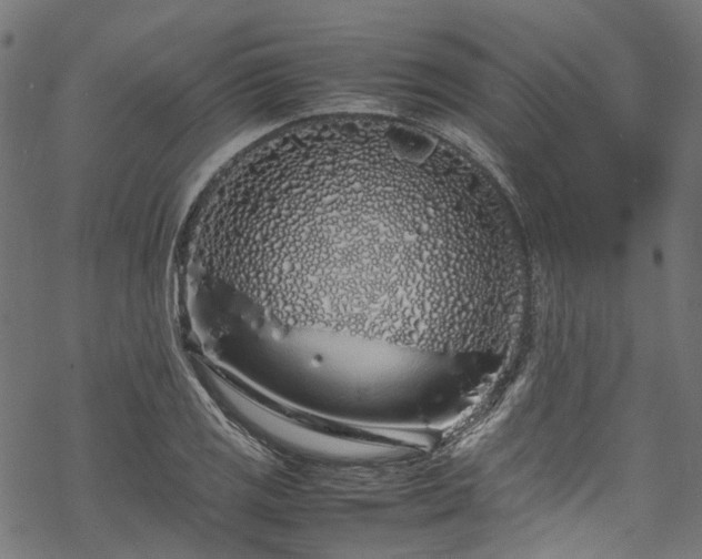 X0000070211125200605301356