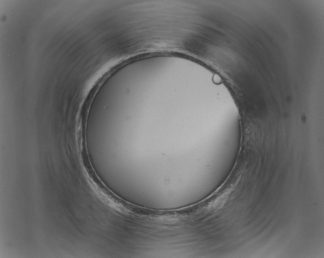 X0000070211126200605301356