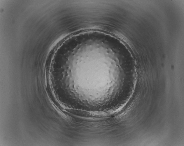 X0000070211127200605301356