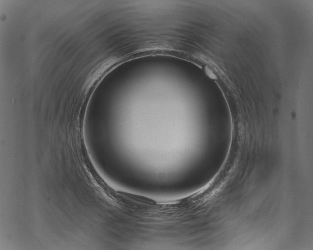 X0000070211129200605301356