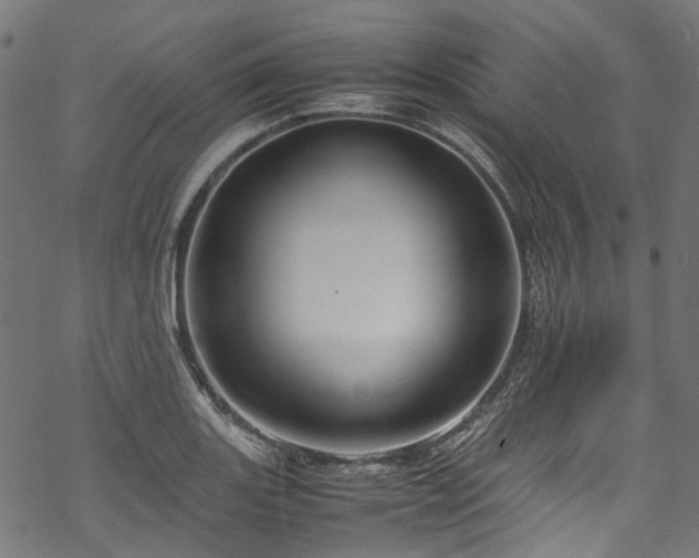 X0000070211131200605301356