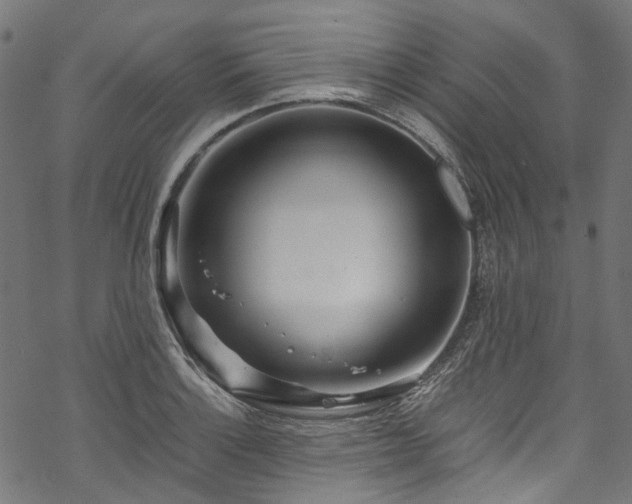 X0000070211132200605301356