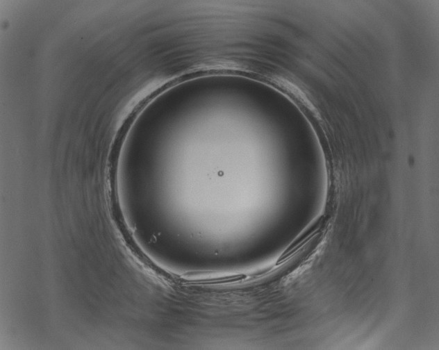 X0000070211133200605301356