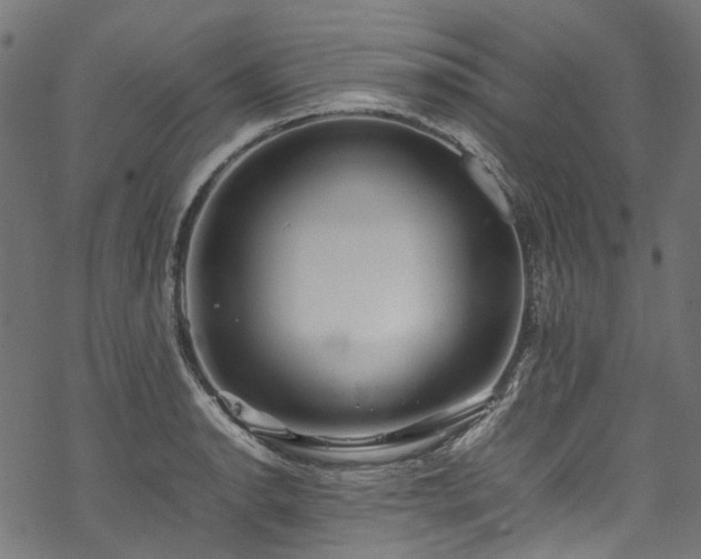 X0000070211134200605301356