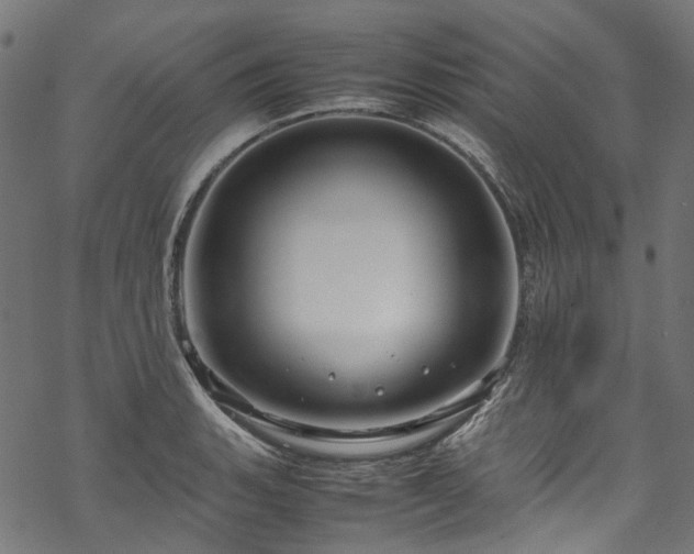 X0000070211135200605301356