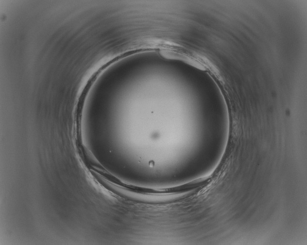 X0000070211136200605301356