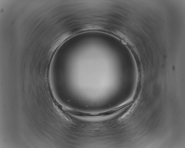 X0000070211137200605301356