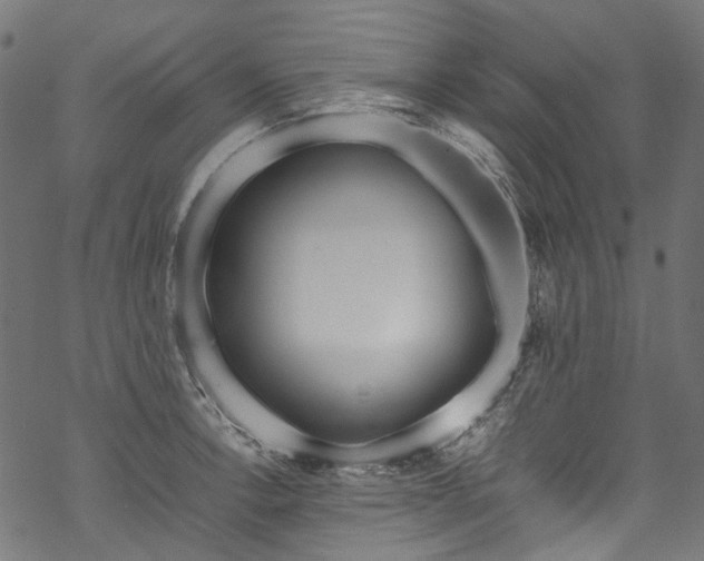 X0000070211138200605301356