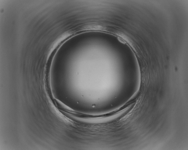 X0000070211139200605301356