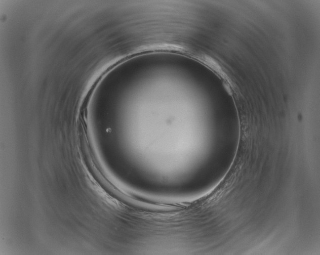 X0000070211140200605301356