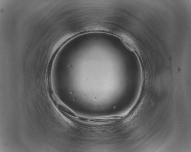 X0000070211141200605301356