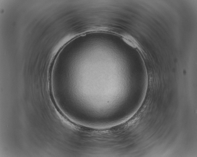 X0000070211143200605301356