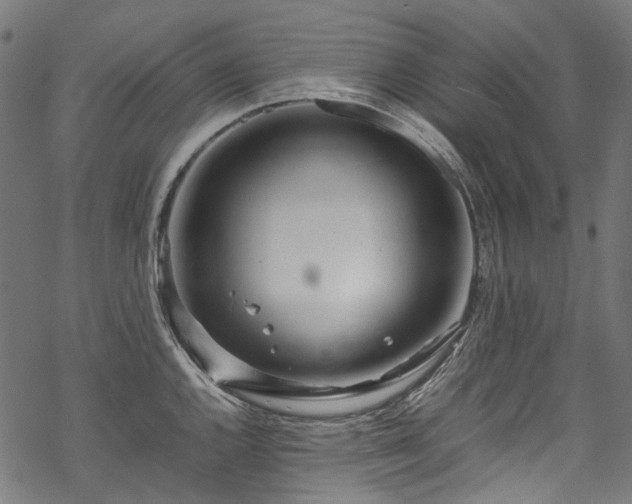 X0000070211144200605301356