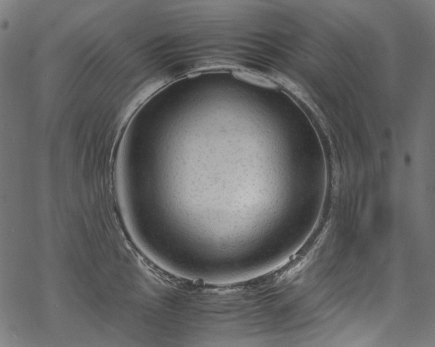 X0000070211145200605301356