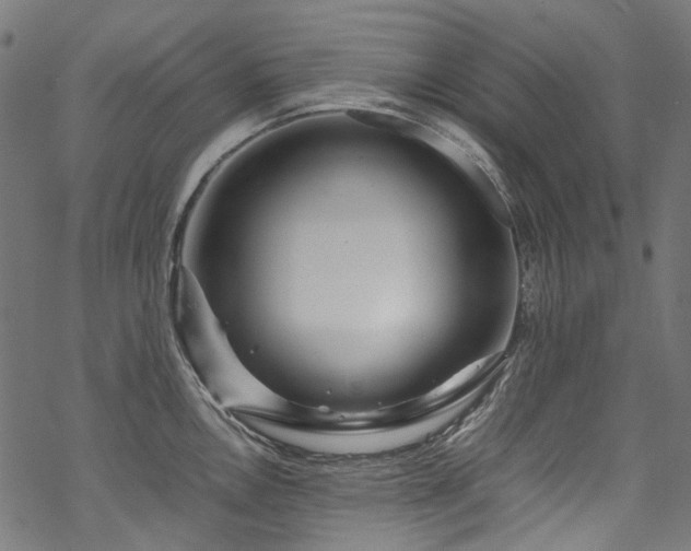 X0000070211146200605301356