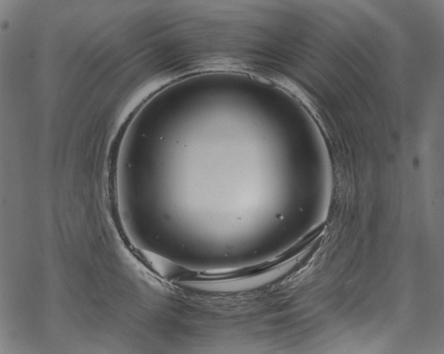 X0000070211147200605301356