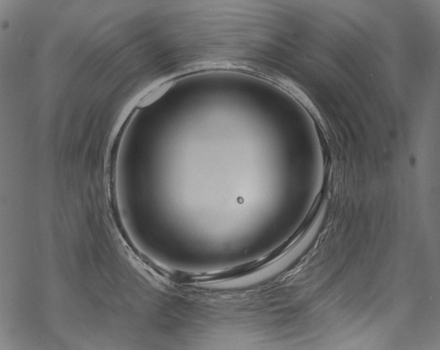 X0000070211148200605301356