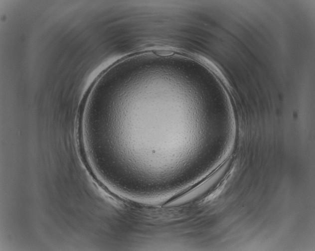 X0000070211149200605301356