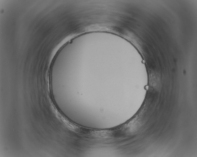 X0000070211150200605301356