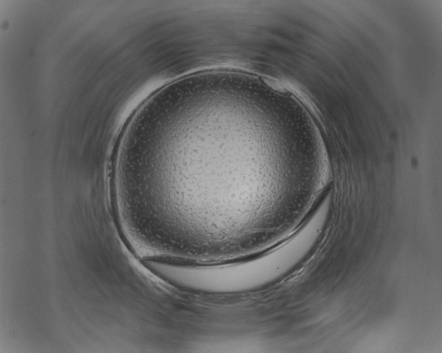 X0000070211151200605301356