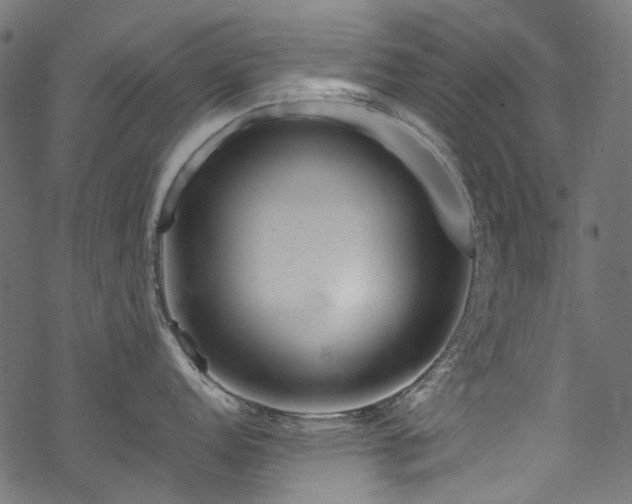 X0000070211152200605301356