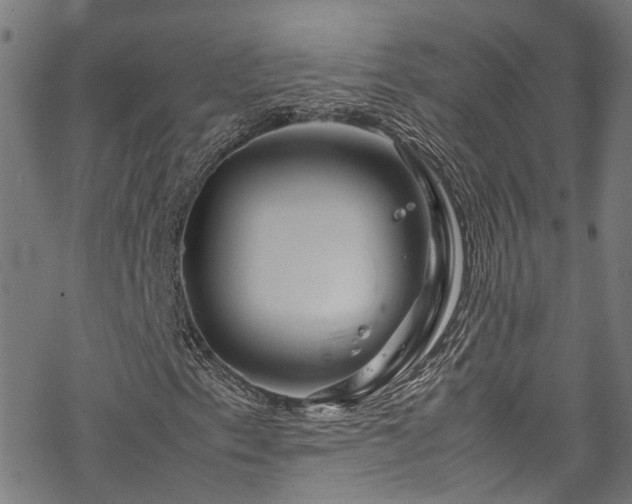 X0000070211153200605301355