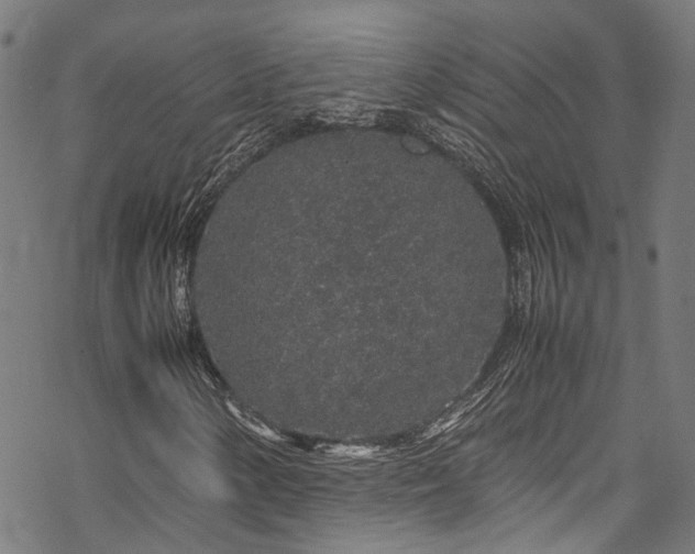 X0000070211154200605301355