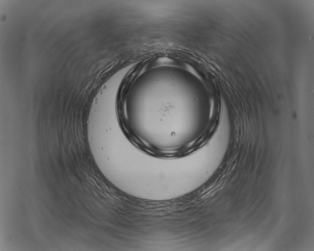 X0000070211156200605301355