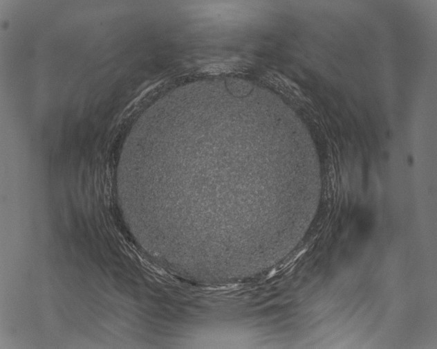 X0000070211158200605301355