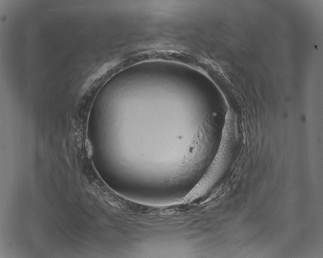 X0000070211159200605301355