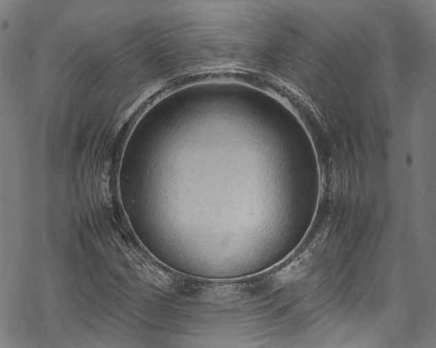 X0000070211162200605301355