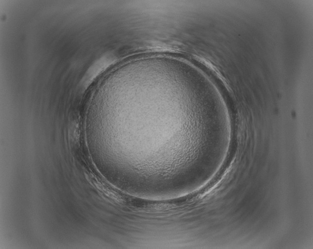 X0000070211163200605301355