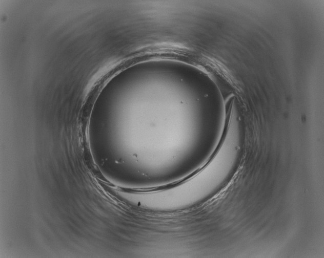 X0000070211164200605301355